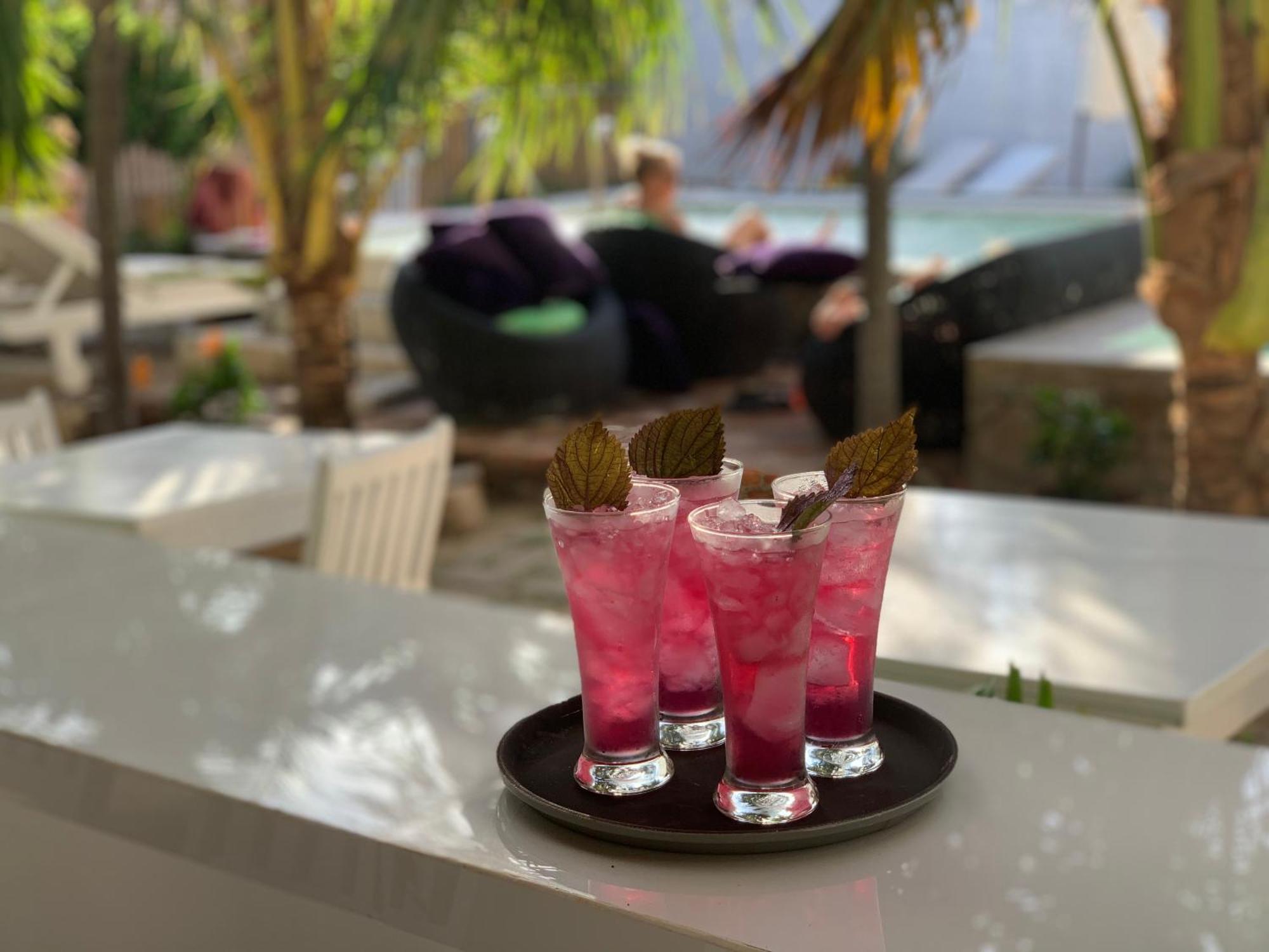 فندق A L Y S S A Seaside Muine موي ني المظهر الخارجي الصورة